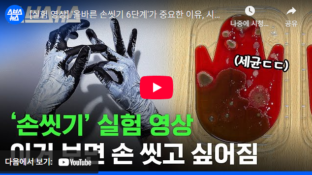 [실험 영상] '올바른 손씻기 6단계'가 중요한 이유, 시각적으로 보여드림 /스브스뉴스